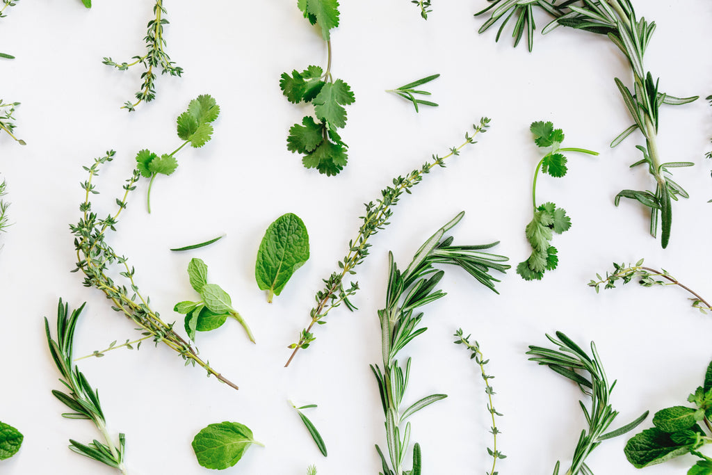 Herbs for the windowsill: The best kitchen herbs for indoors.